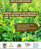 Capa Adubos verdes