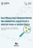 Capa Bactérias