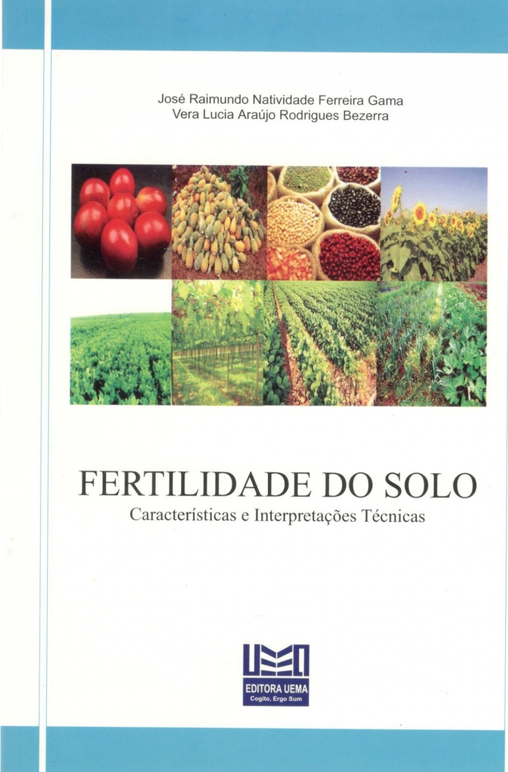 Fertilidade do solo Características e interpretações técnicas