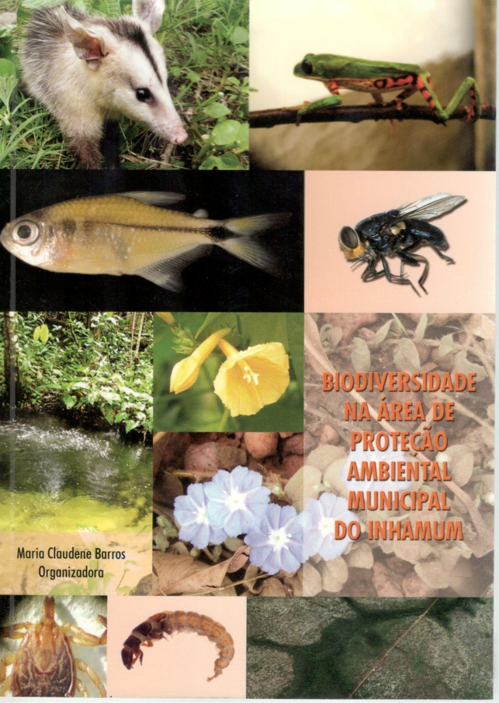Biodiversidade na área de proteção ambiental municipal do Inhamum (Esgotado)