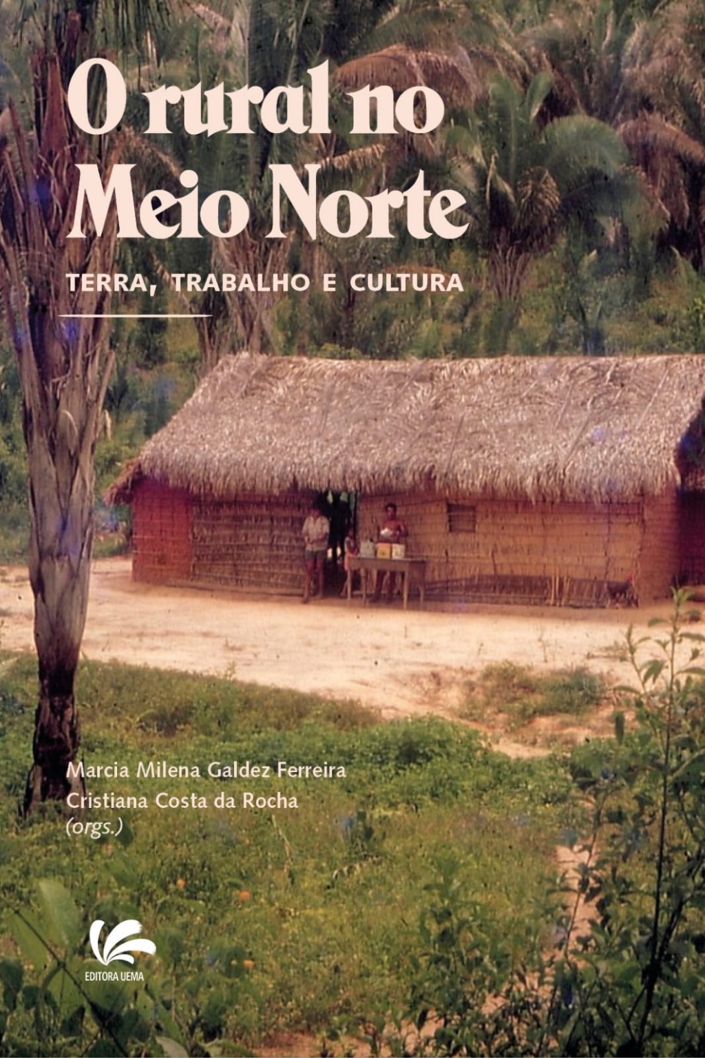 O Rural no Meio Norte (DISPONÍVEL PARA DOWNLOAD)